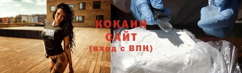 COCAIN Fish Scale  Каменка 